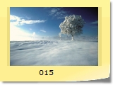 015